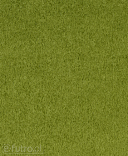 MINKY LEON 23 zielony, to aksamitna i miękka w dotyku dzianina w typie velboa, z włosem o długości 3 mm