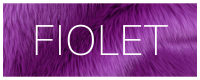 fiolet