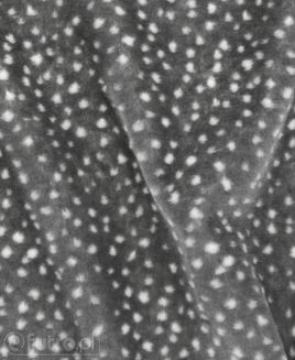 Grey 325044/16 Plush Fabric Dot 9 mm 