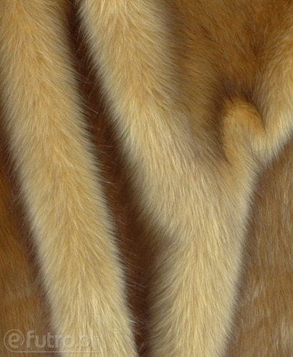 Beige Faux Fur Animal Wolf 315699