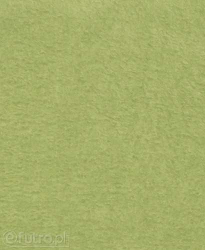 Light Green 315311 Short Pile Plush Fabric Pile Length 9 mm