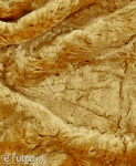 Ginger 30002 Astra Faux Fur Pile Lengh 15 mm 