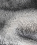 Grey Faux Fur Animal Wolf 315037