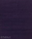 Purple 12436 Velvet Fabric