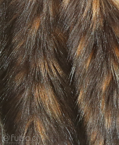 Brown Shaggy Raccoon Faux Fur Fox Long 810 Pile Length 90 mm