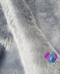 Grey 31507  - SII Long Pile Plush Fabric,  piece 120 cm x 150 cm for sale as a whole