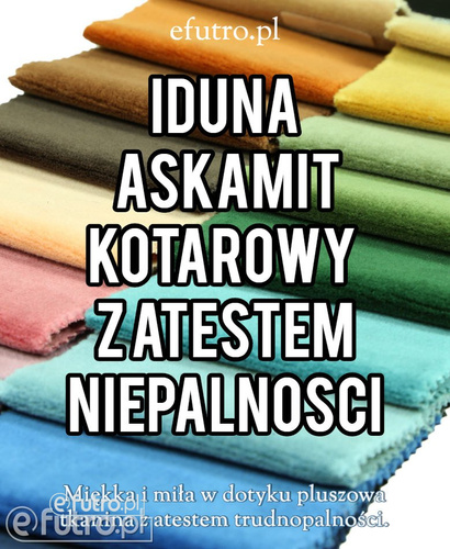 Domyślna nazwa