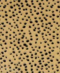 Beige 325044/10 Plush Fabric Dot 9 mm 