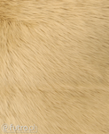 Beige 2P-6/9 Fox Faux Fur 60 mm