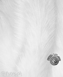 FAUX FUR FOXTROT WHITE