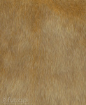 Beige Faux Fur Animal Wolf 315699