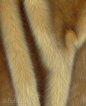 Beige Faux Fur Animal Wolf 315699