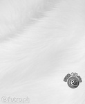 FAUX FUR FOXTROT WHITE