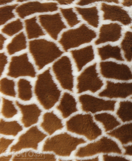 Żyrafa 325074/3 brązowy, to miękki materiał futrzany, z krótkim włosem o długości 9 mm